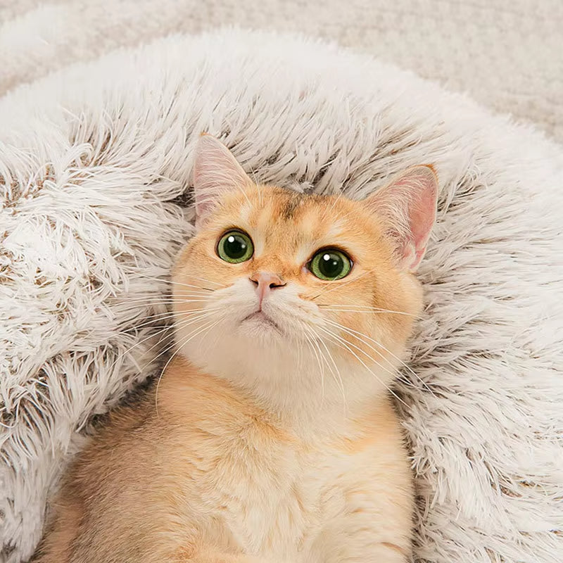 Cozy Comfort Awaits: The Winter Long Plush Pet Bed